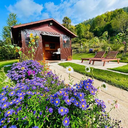 Cottage La Sierra With Jacuzzi Korenica Kültér fotó